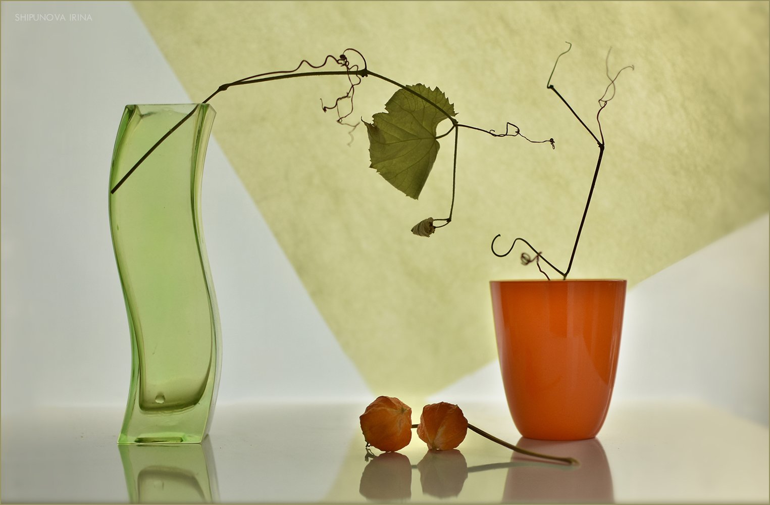 лоза физалис ваза зелёное оранжевое, Шипунова Ирина