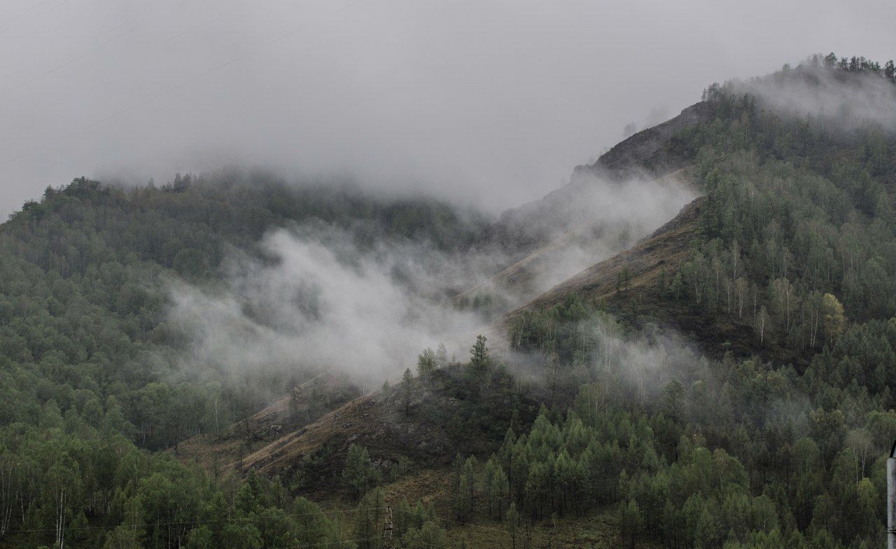 Алтай, туман, fog, landscape, mountains, Aleksei Kurlov