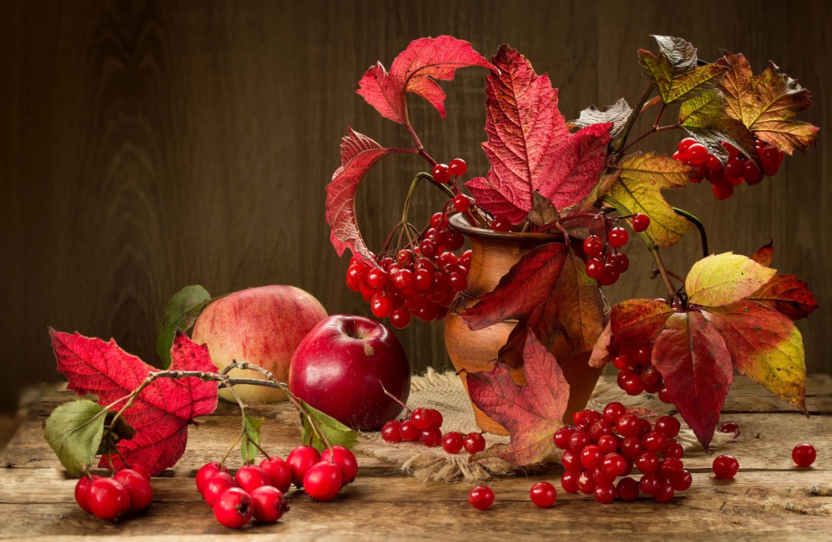 натюрморт, осень, листья, калина, яблоки, Шруб (Беляева) Татьяна