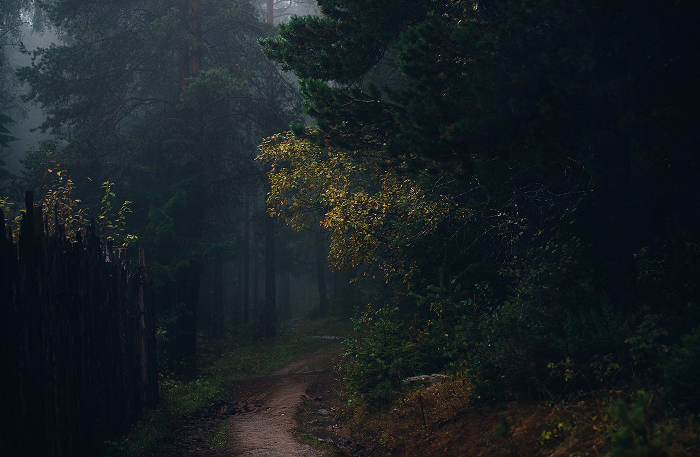 природа, лес,туман, осень, южный урал, златоуст, Евгений Толкачёв