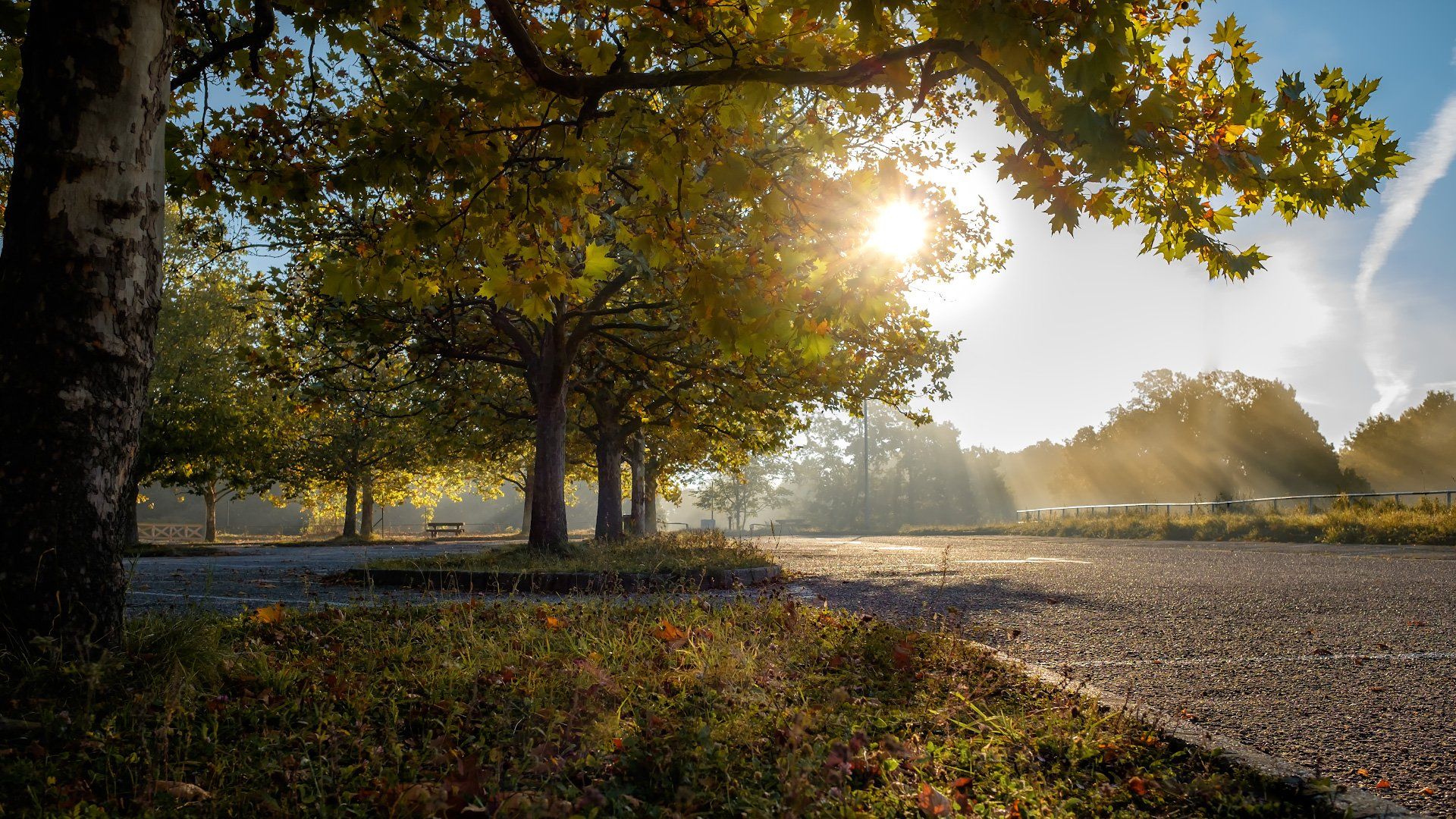 октябрь, утро, солнце, туман, деревья, Андрей Чиж