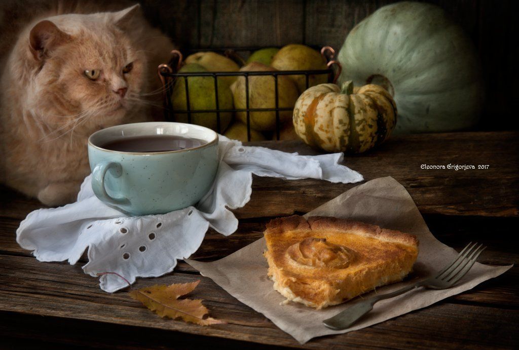натюркотики, чай, осень, тыква, кот, животные, домашнее животное, пирог, яблоки, груши, Eleonora Grigorjeva