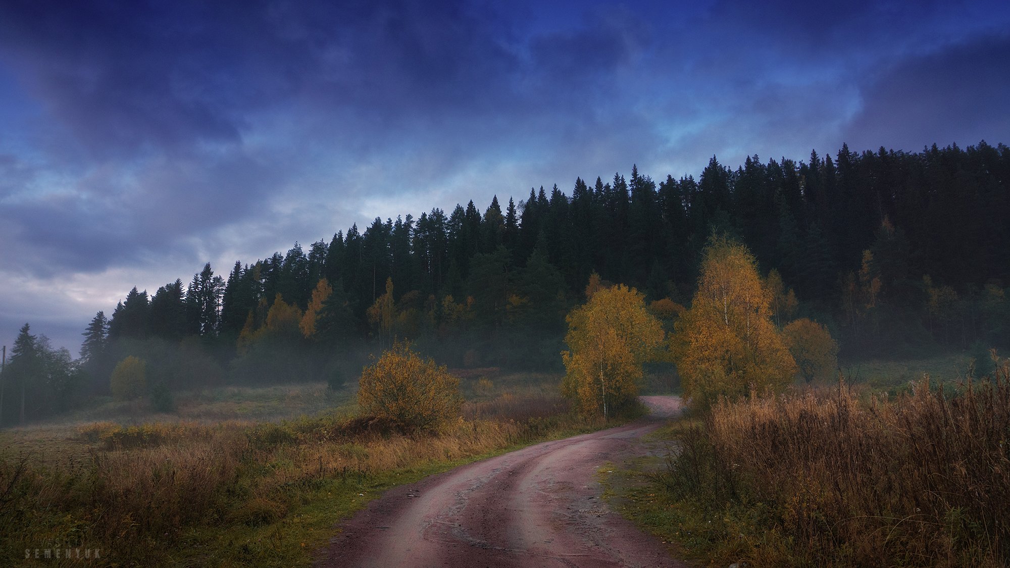 карелия, туман, лес, дорога, осень, сумерки., Семенюк Василий