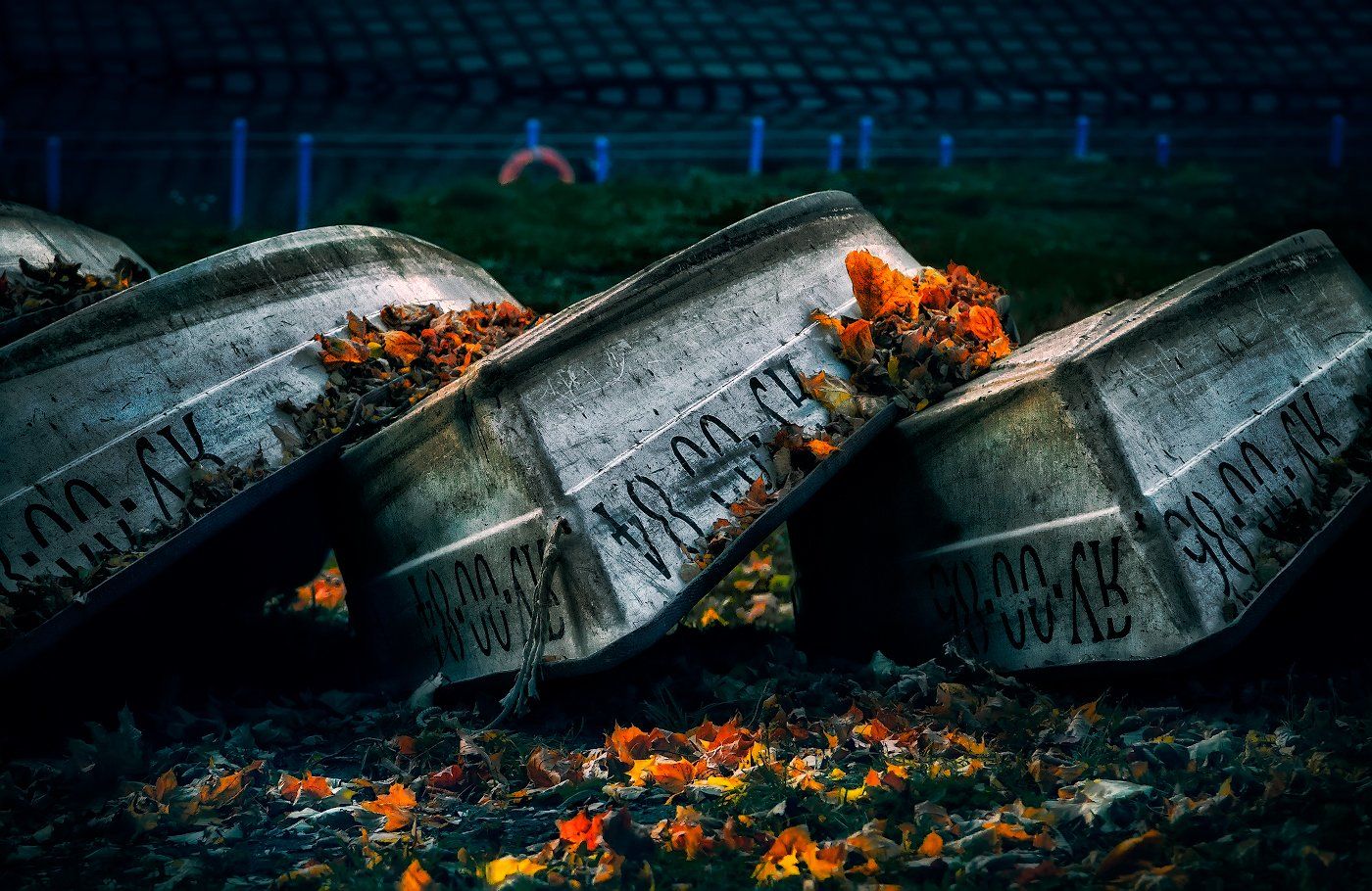 осень, листья, лодка, Игорь Шиленок
