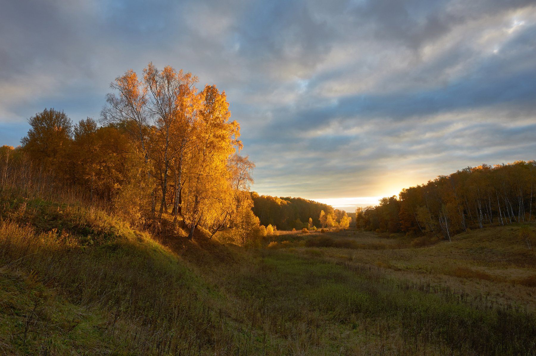 , Бурцев Дмитрий