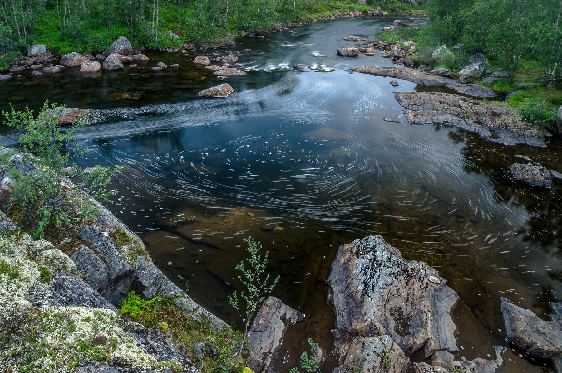 берега,вода,водоворот,деревья,длинная выдержка,дно,июль,камни,кольский полуостров,лето,пена,поляризатор,река,север,спиралб,юринга, берёзки,сумерки, ночь, полночь, круги, линии, Ксения Соварцева