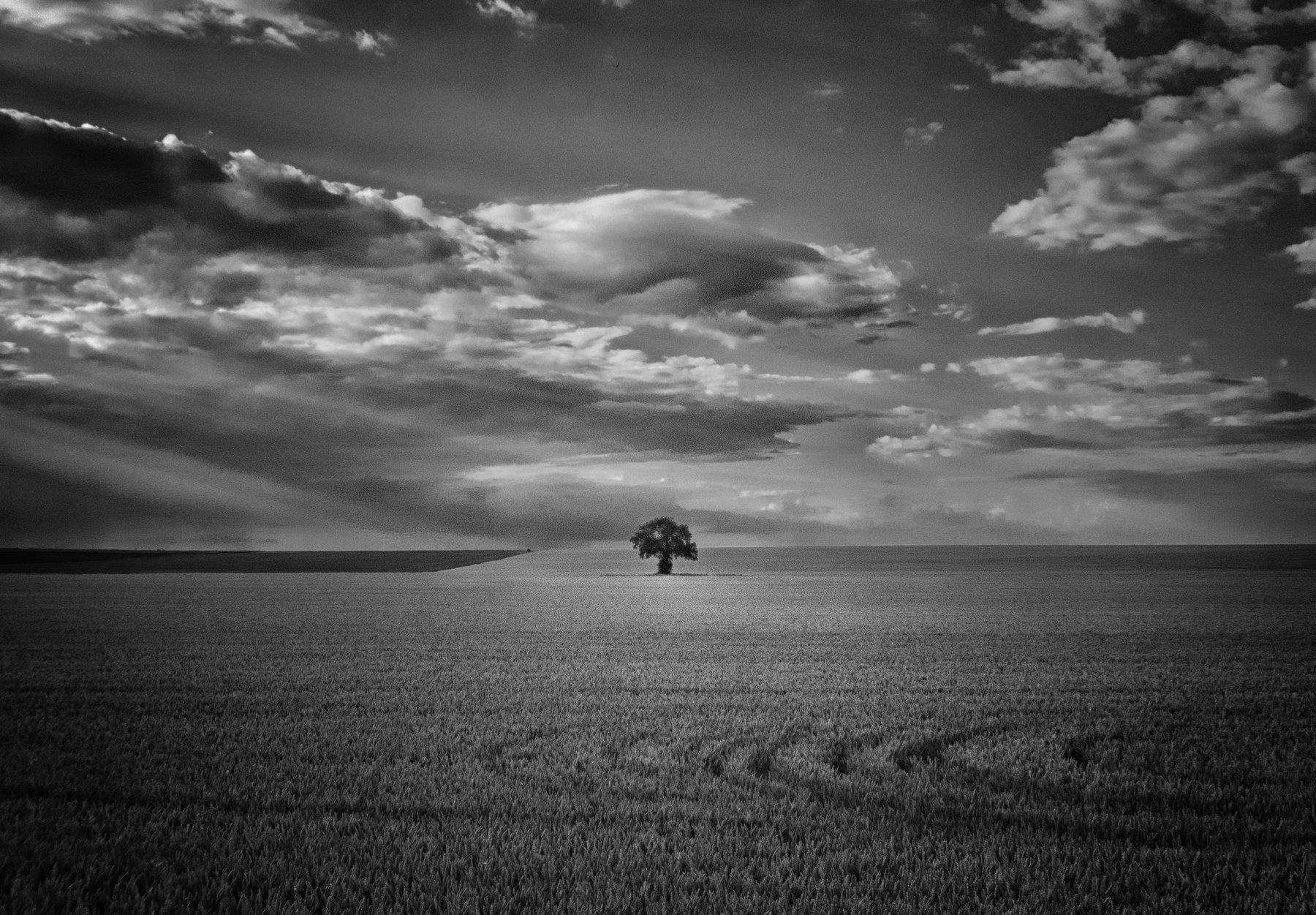 черно-белая фотография, пейзаж, закат, Даниел Балъков
