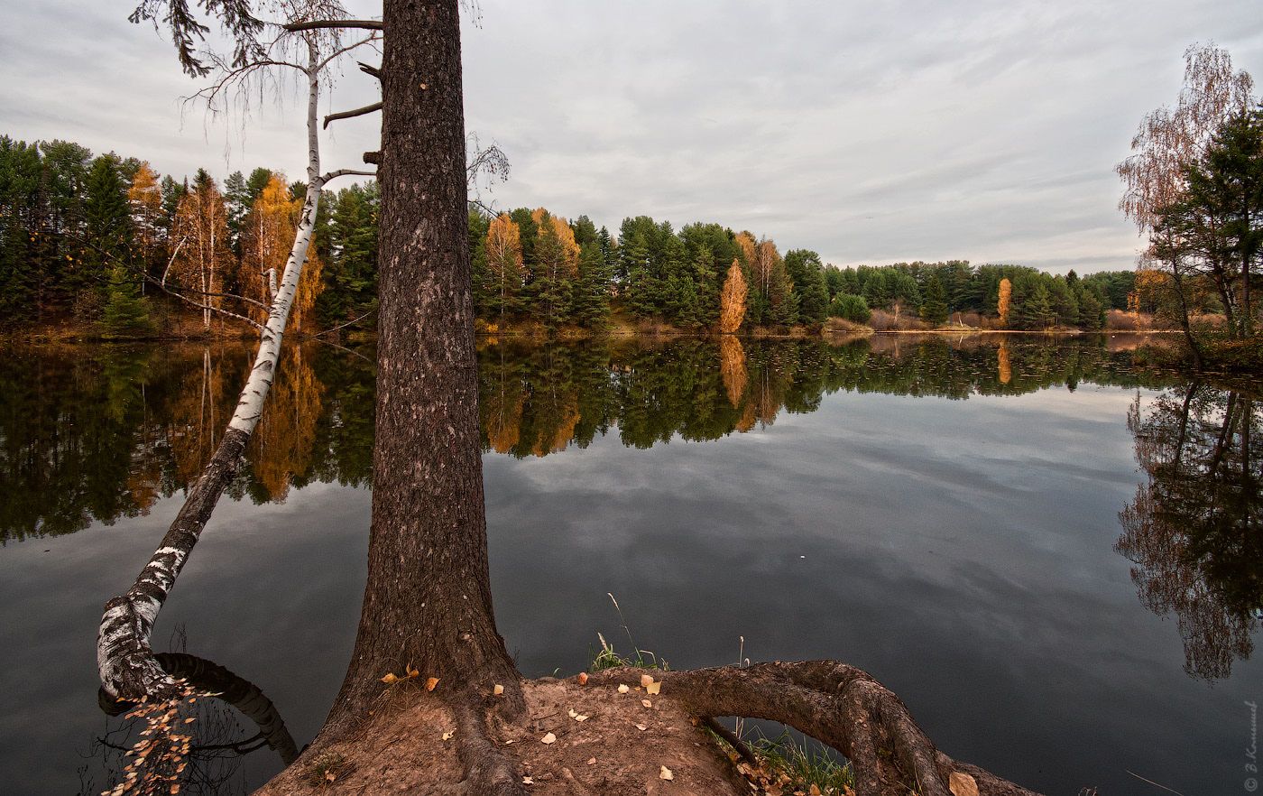 осень, пруд, лес, природа, пейзаж, Владимир Комышев