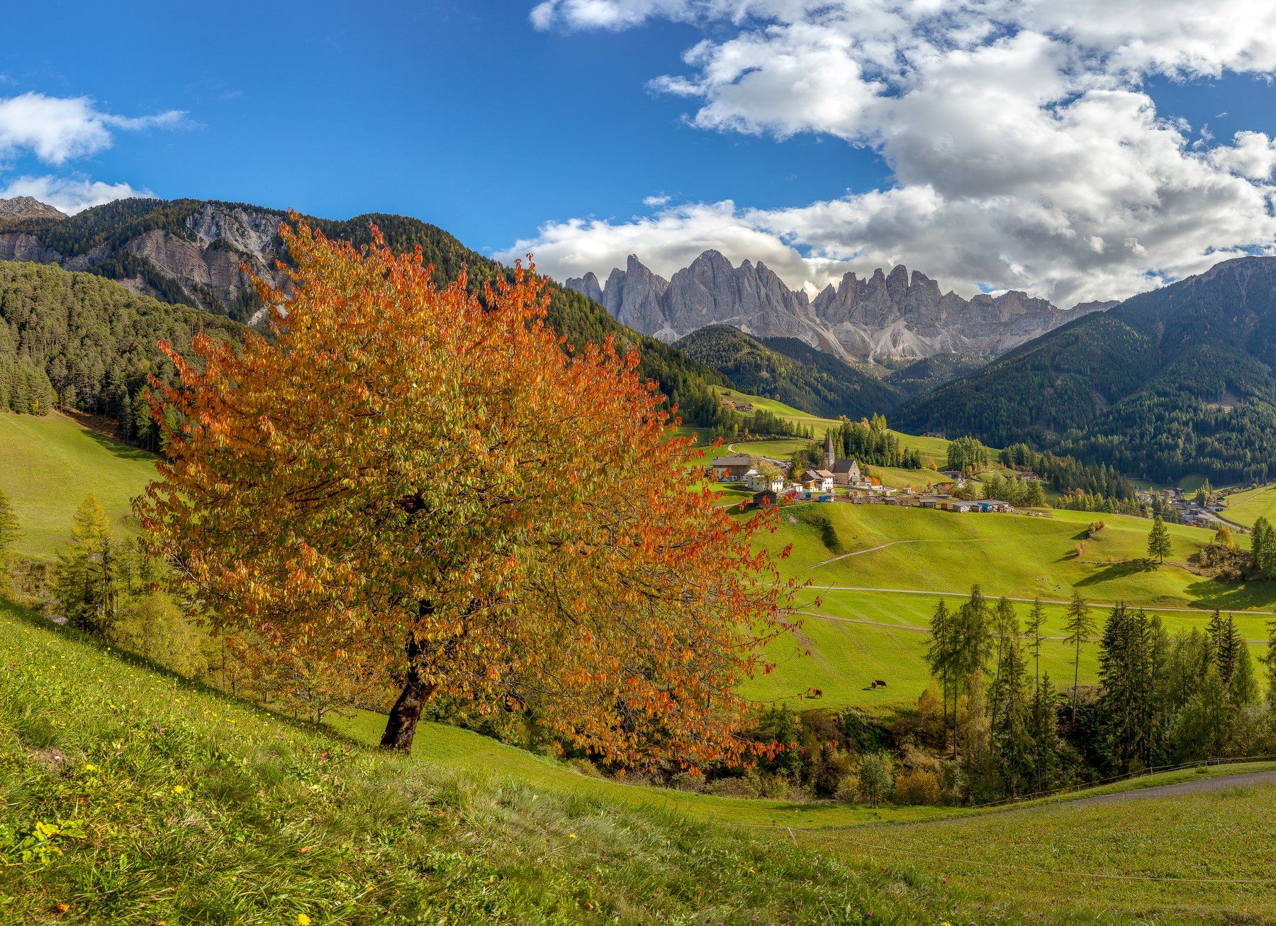 italy, sudtirol, landscape, mountains, Igor Sokolovsky