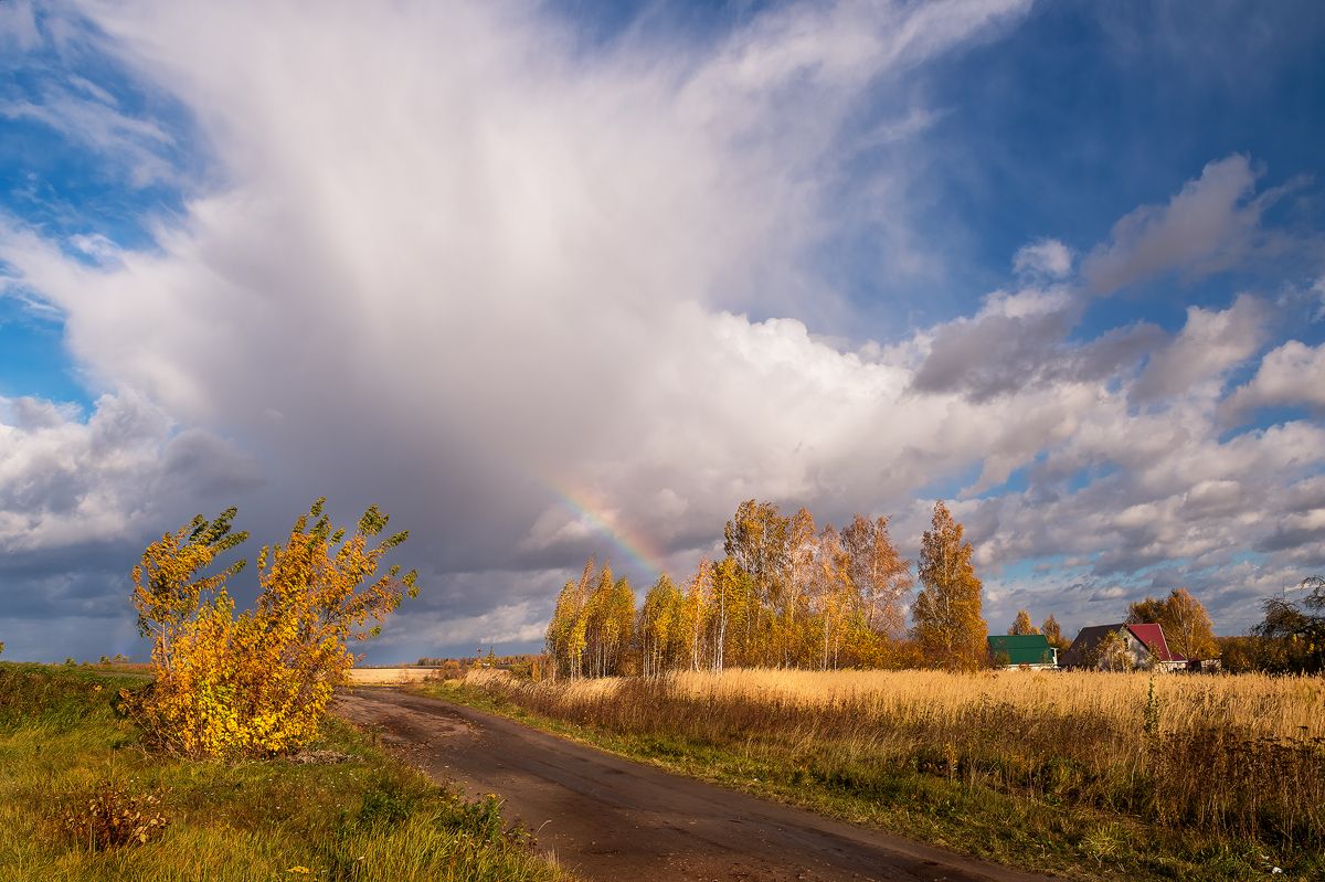пейзаж,природа,осень,октябрь,тучи,березы,дорога,золотая осень,россия,облака,тучи,радуга, Юлия Лаптева