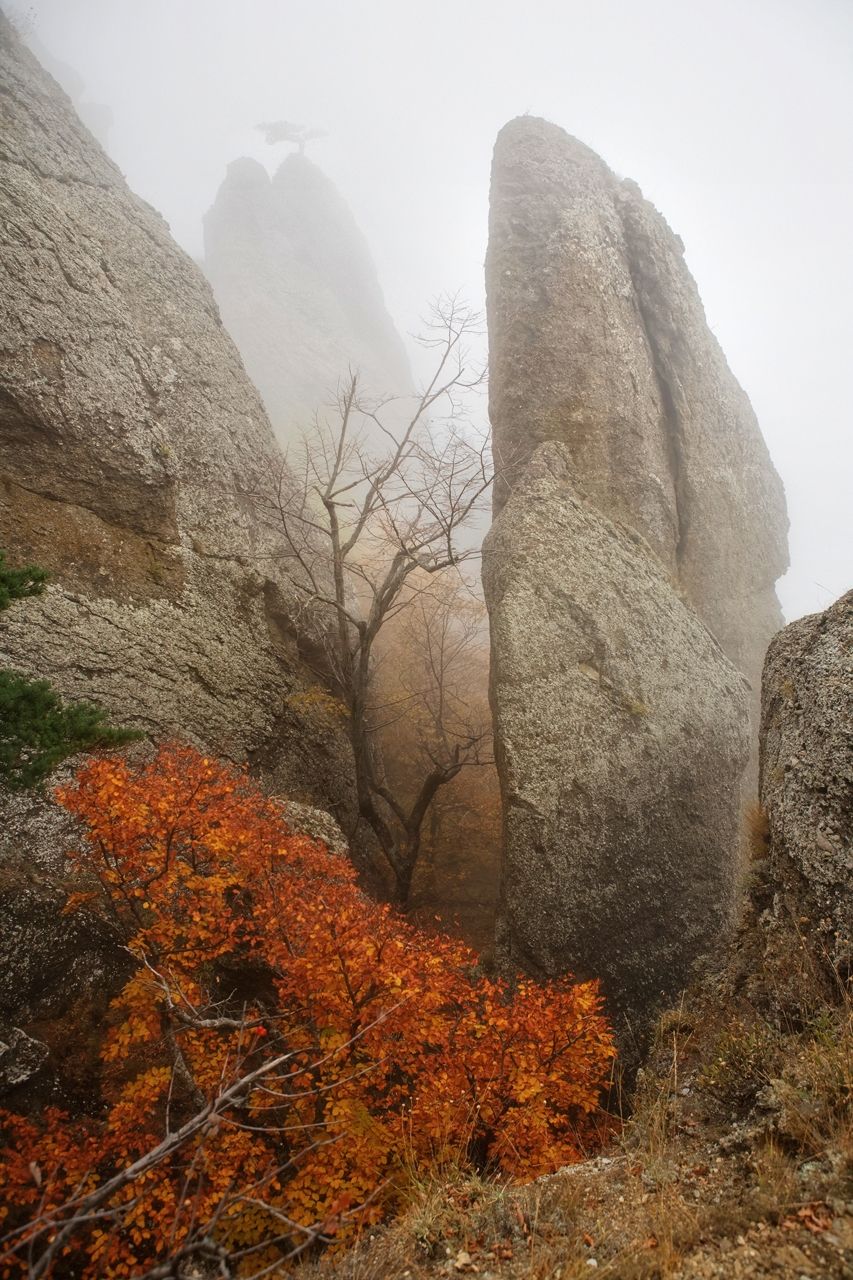 крым, демерджи, октябрь, Лопухов Сергей