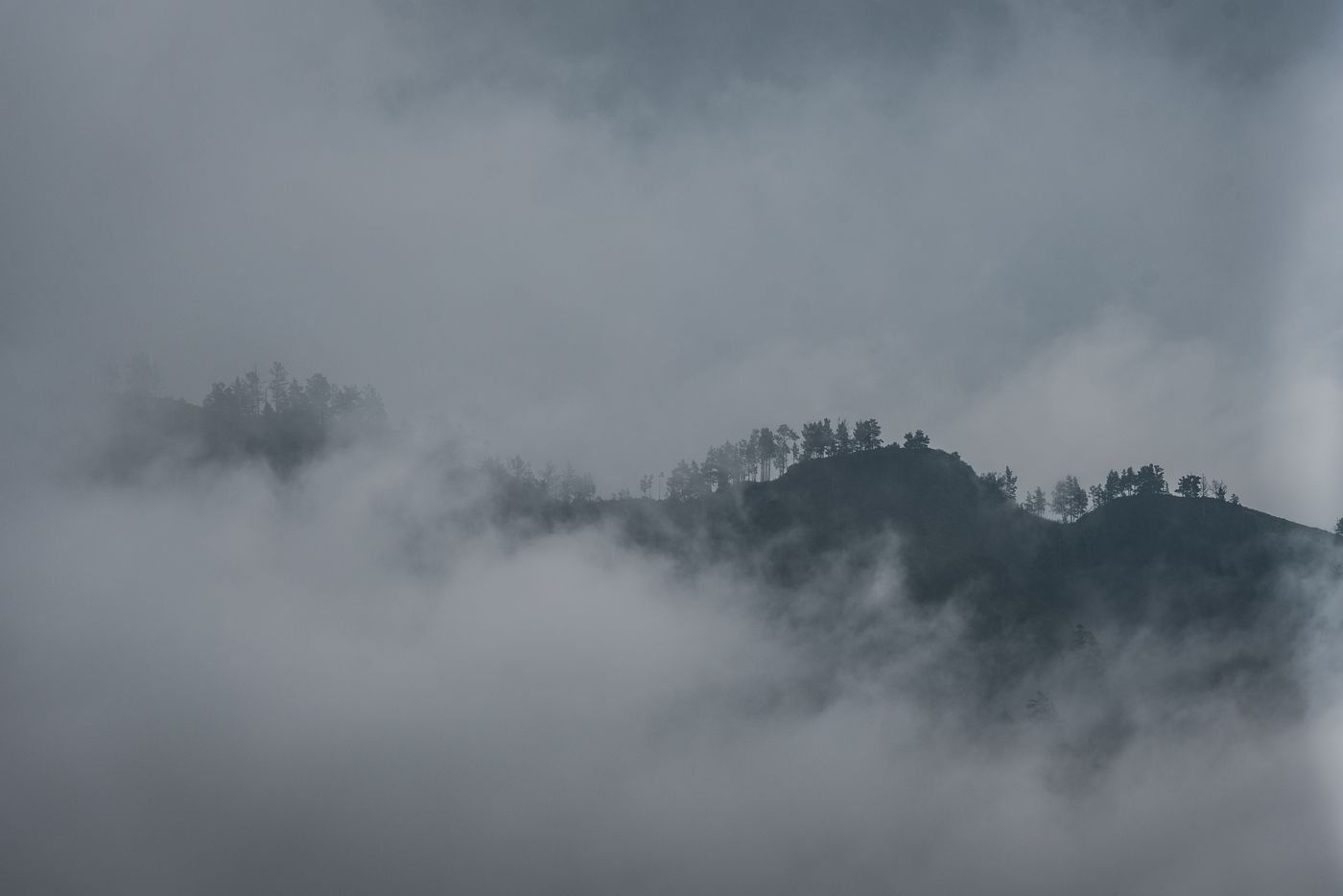 Алтай, fog, landscape, mountains, Aleksei Kurlov