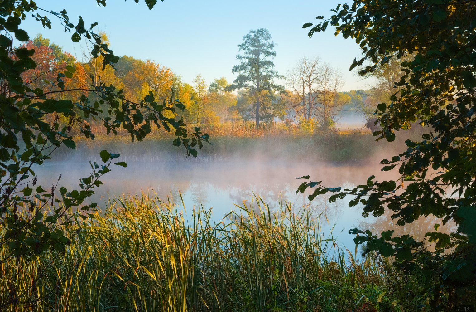 morning, sunrise, fog, autumn, осень, рассвет, туман, озеро, вода, дерево, окно, I'M