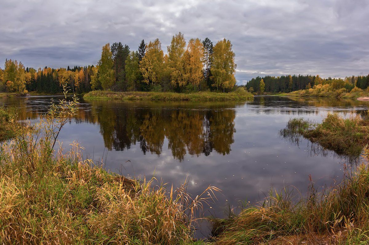 осень желтый река лес берег октябрь, Марина Мурашова