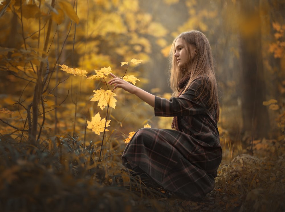 осень, лес, желтые листья, Анастасия Крылова