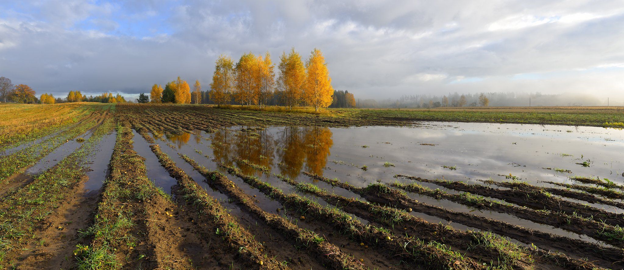 панорама пейзаж латвия осень рассвет поле, Алексей Мельситов
