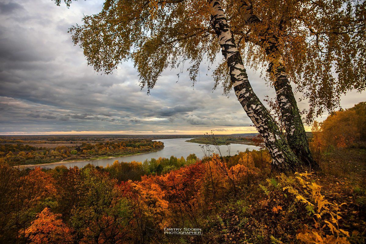 природа, пейзаж, осень, береза, река, небо, облака, landscape, nature, sky, riwer, clouds, Дмитрий Сдобин