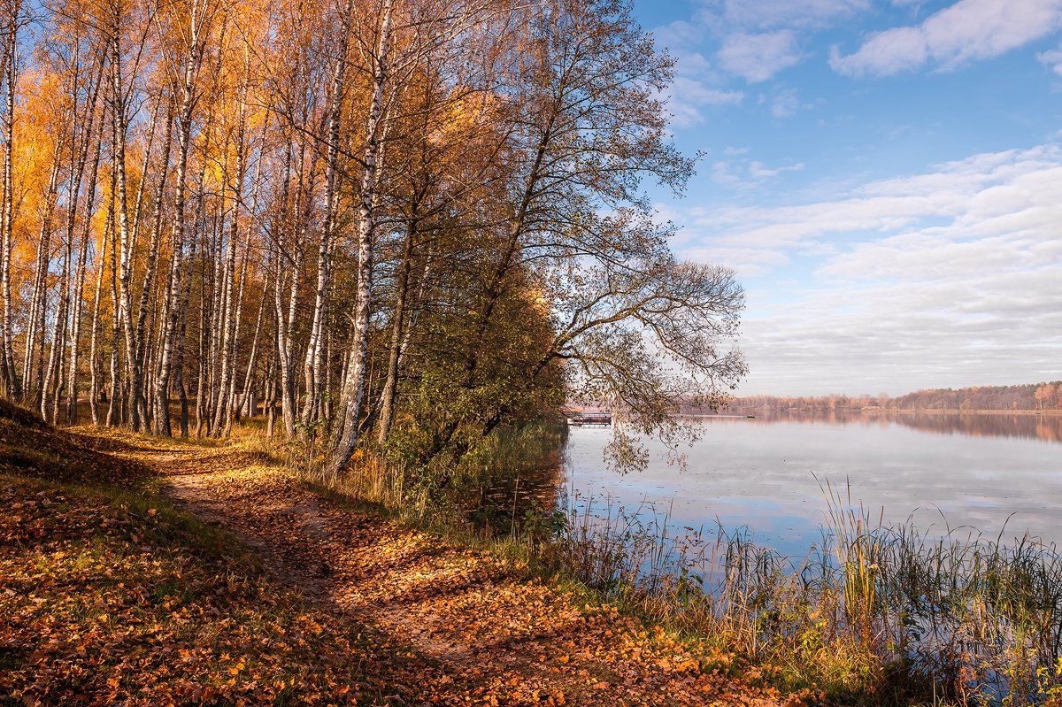 пейзаж,природа,осень,октябрь,озеро,россия,берег,отражение,березы,лодка,рыбак, Юлия Лаптева