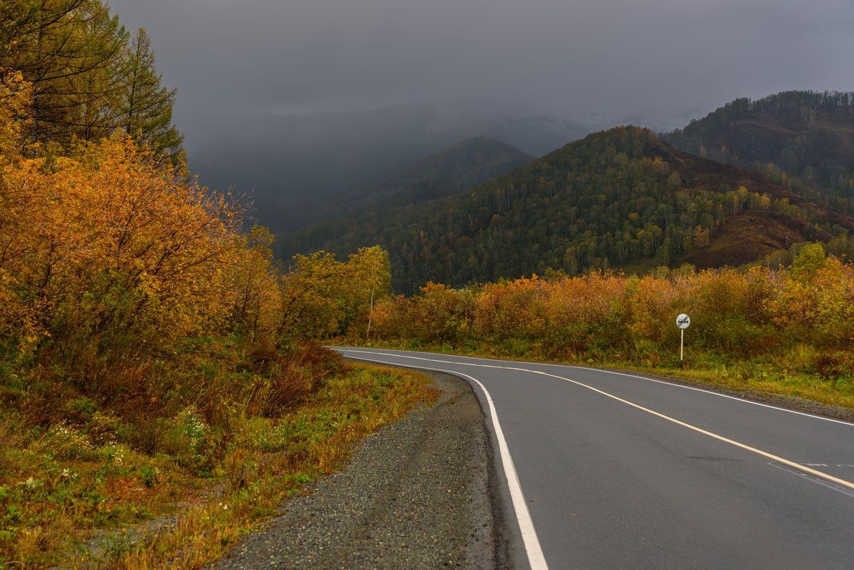 дорога, горы, дождь, осень, алтай, road, mountains, rain, autumn, altai, Iri_sha