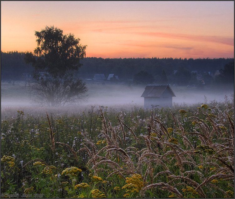 лето, август, утро, туман, пейзаж, Андрей Житков
