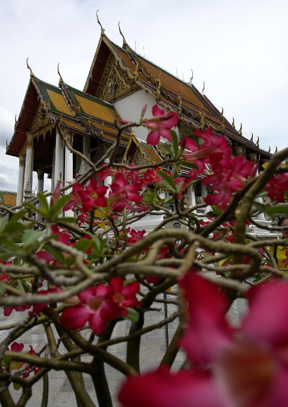 тайланд, храм, DimON