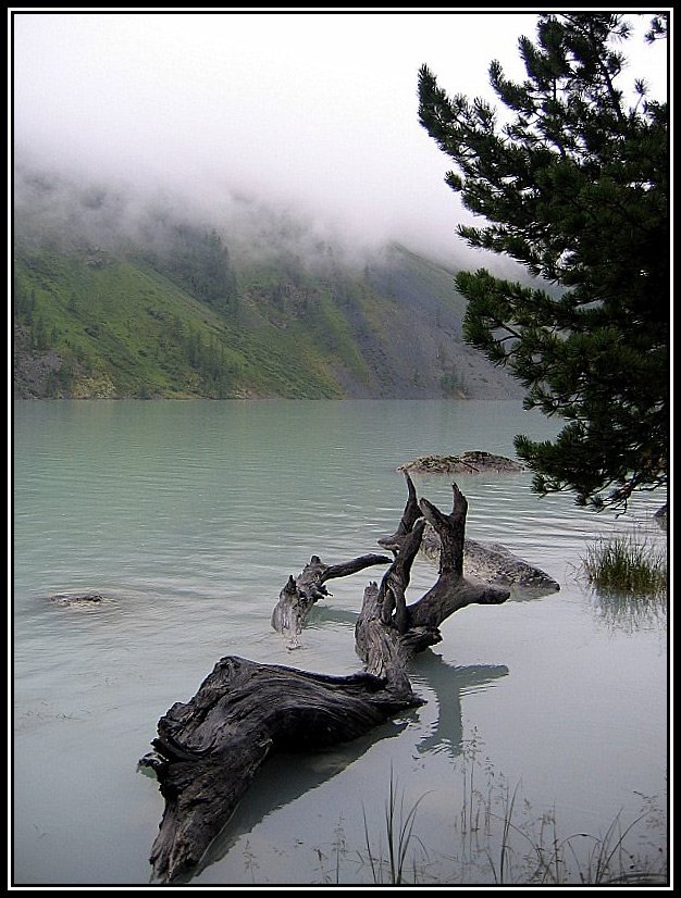 озеро, алтай, горы, дерево, туман, кучерлинское озеро, Алёна