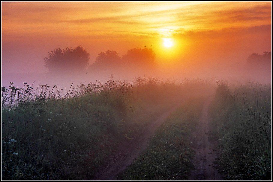 рассвет, река, туман, солнце, лучи, лес, отражения,, Григорий Иващенко