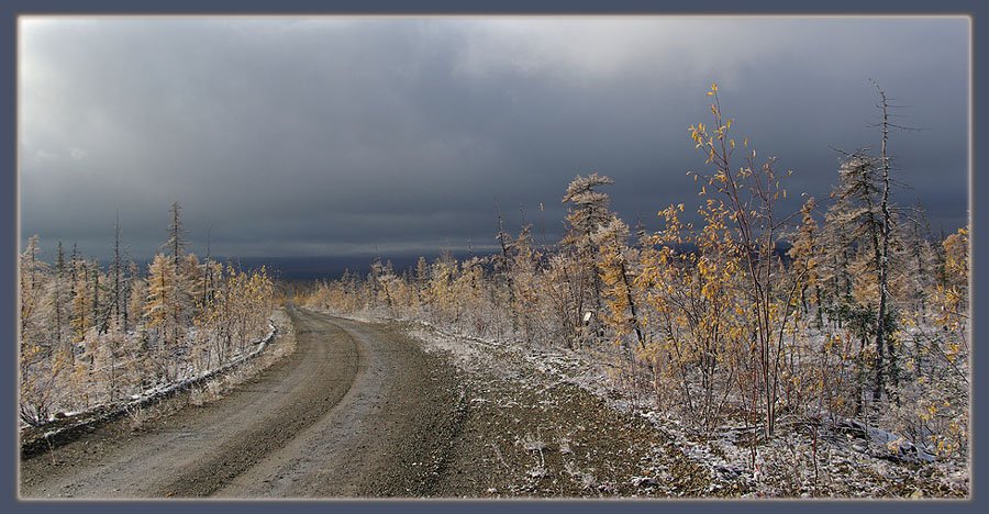 тайга,дорога,осень,снег, Солодухин Виктор