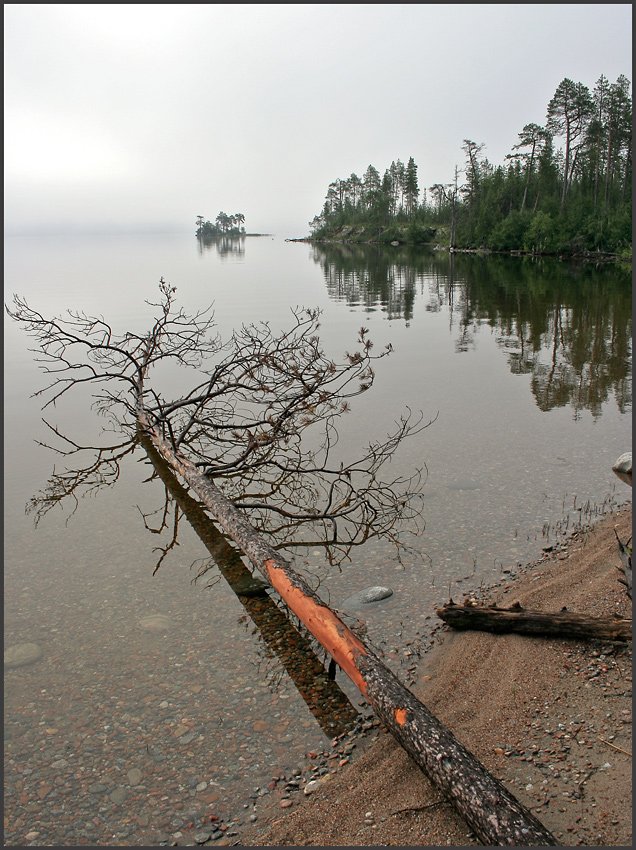 кольский, колвицкое, озеро, туман, утро, тишина, Gorshkov Igor_Feanorus