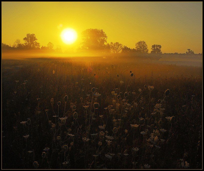 утро, рассвет, туман, солнце, свет, Александр Бельтюков