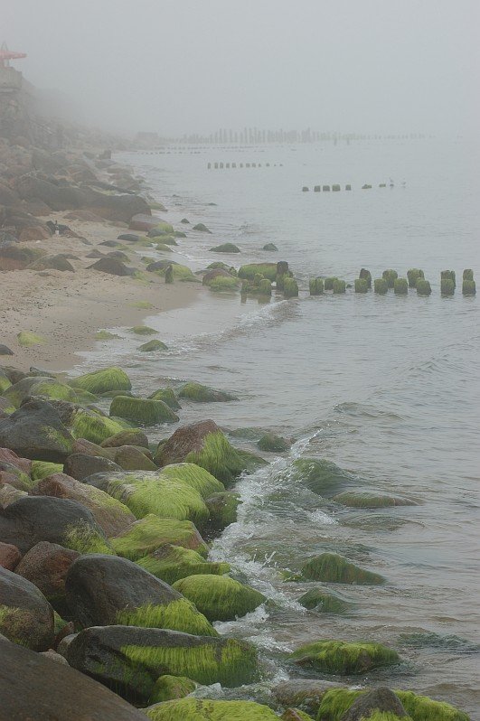 море, утро, волны, балтика, камни, зелёные водоросли, Kaiser Sozo