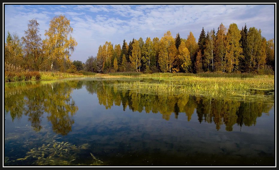 осень ,река , лес , тишина, Алексей
