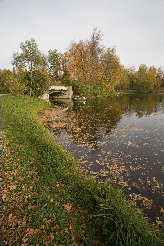 павловск, осень, Братаев Юра