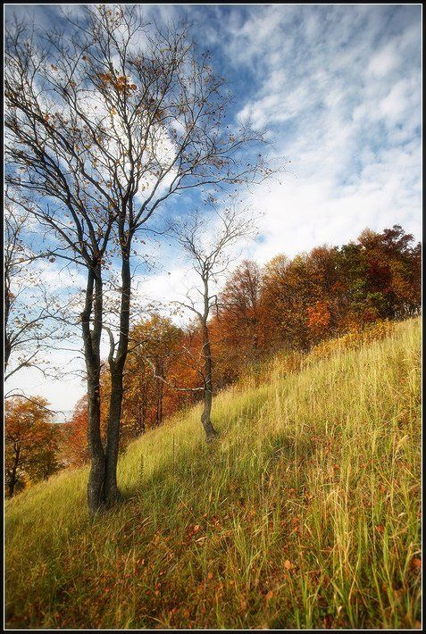 осень, лес, краски, листва, небо, облака, Григорий Иващенко