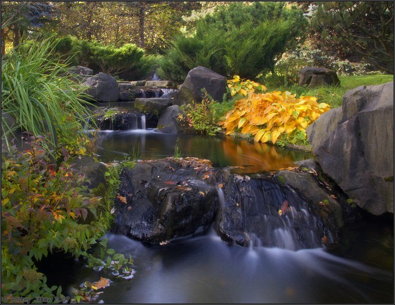 осень, октябрь, ручей, вода, пейзаж, Андрей Житков
