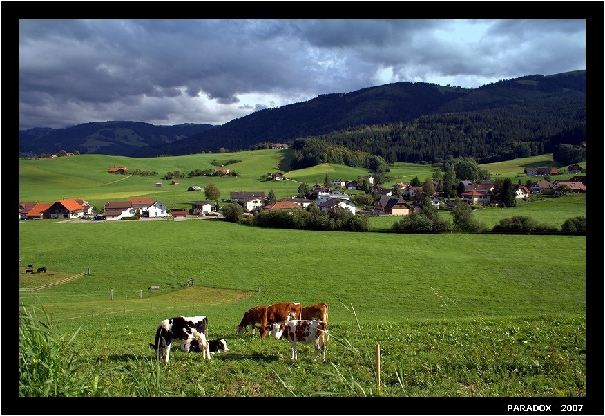 швейцария, деревня, коровы, бах, пастух, paradox, PARADOX