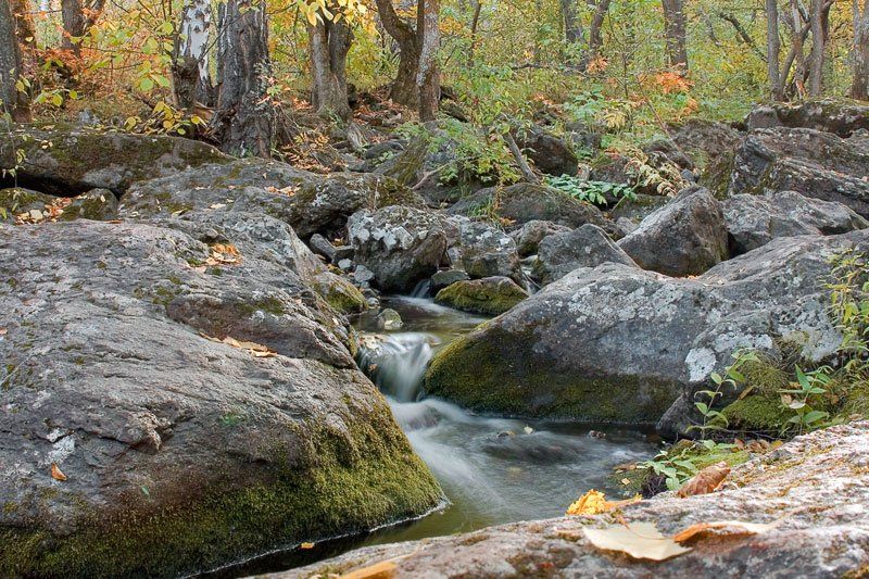 пейзаж,вода,осень,ручей., Качурин Алексей