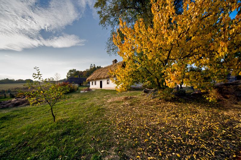 небо, осень, природа, деревня, Марк Пономаренко