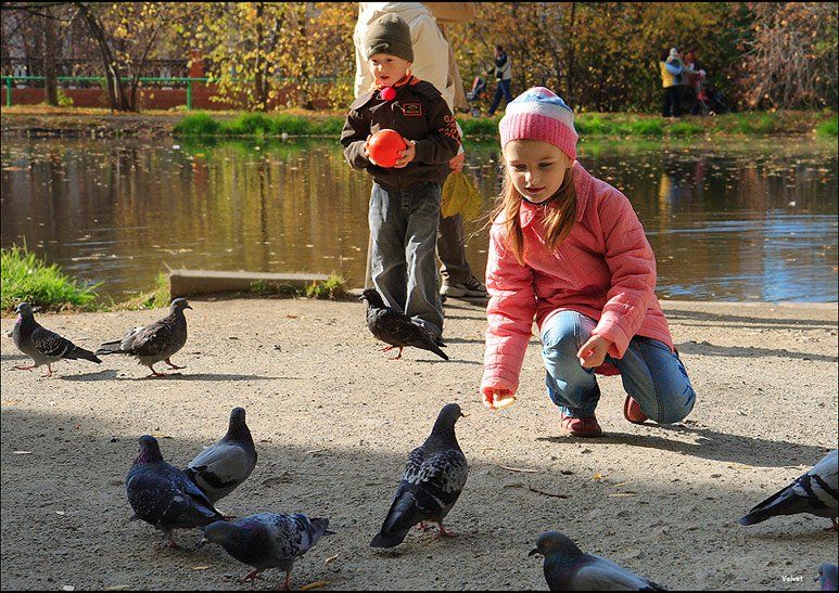 голуби, дети, парк, Оля