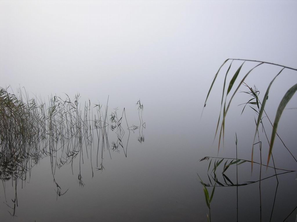 туман, озеро, осень, Tatiana Rozanova