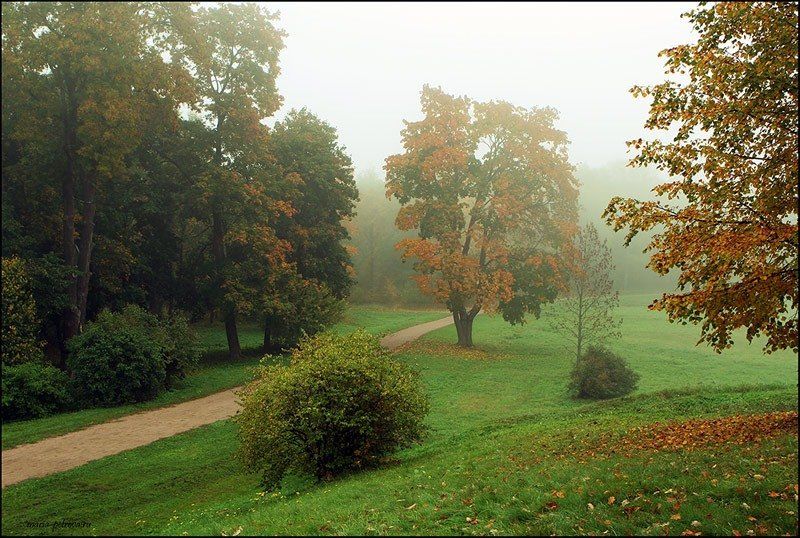 пейзаж, петергоф, туман, Петрова Мария