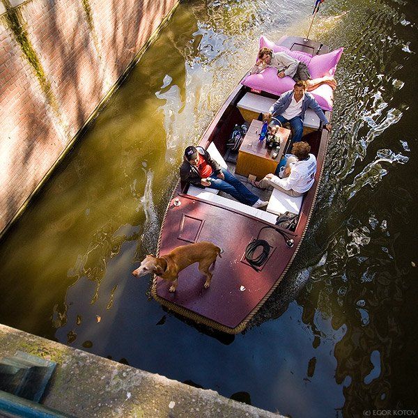 амстердам, канал, лодка, собака, CTEPX