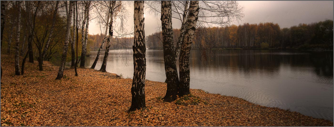 москва парк строгино, Алексей Войницкий