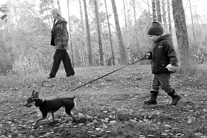 семья, ребенок, собака, прогулка, осень, Павел Круглик