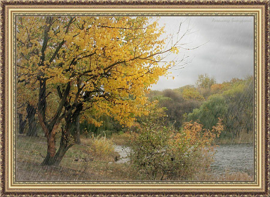 пейзаж, лес, осень, вода, Александр Батурский