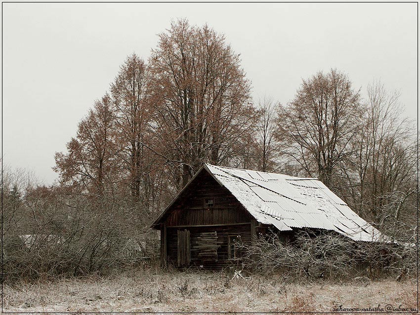 зима, дом, заброшенный, юрлово, первый снег, Наталья Захарова