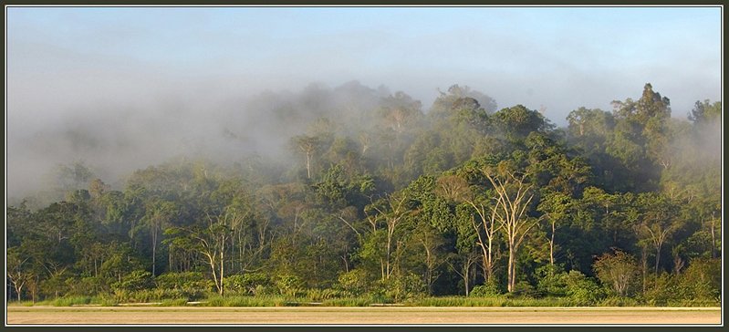 папуа-новая гвинея, моро, тропический, лес, утро, туман, Евгений Иванюшенко