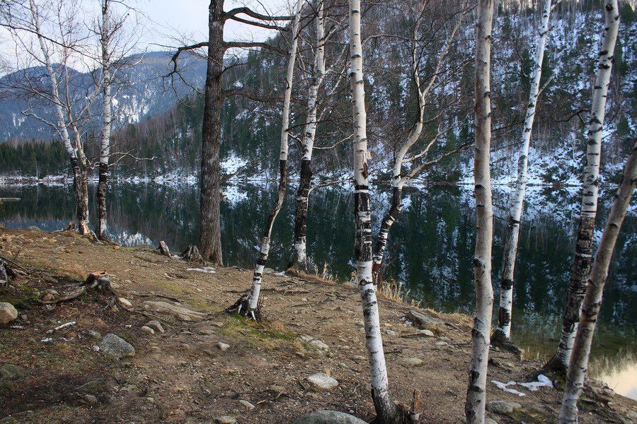 теплые, озера, изумрудное, деревья, отражение, Олег Шубаров