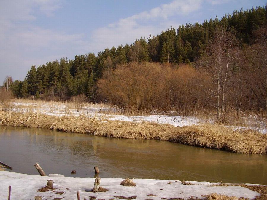 весна, река, лес, Наталья Герасименко