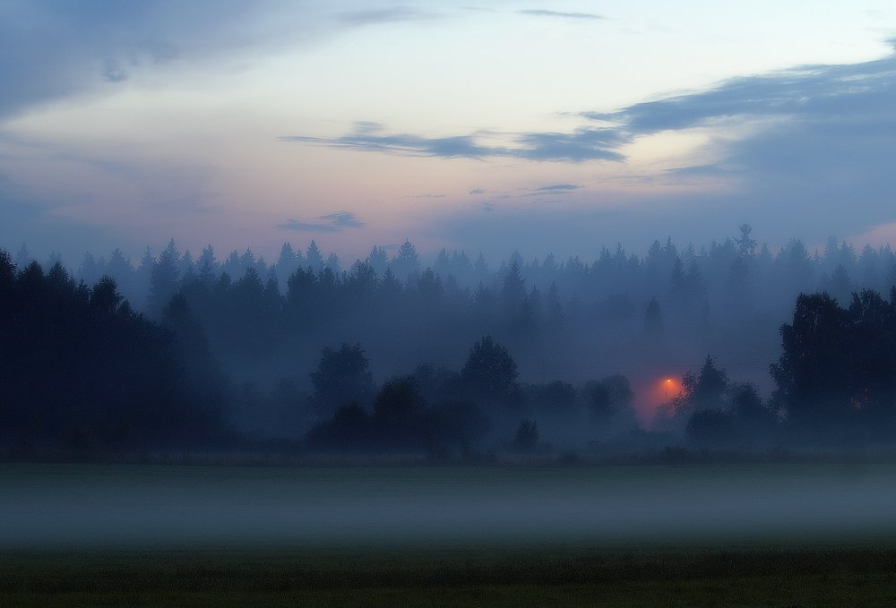 туман, , закат, , лес, , вечер, Владимир Перепечаев